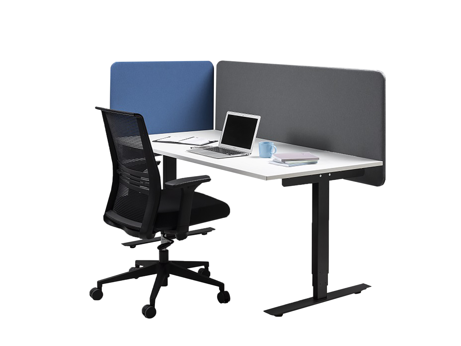 Standard Five offer for one workstation