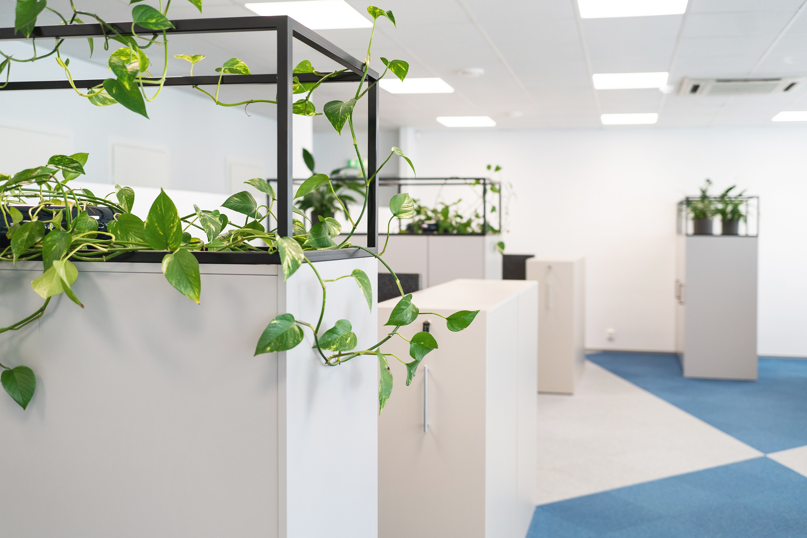 Luna Group Estonia