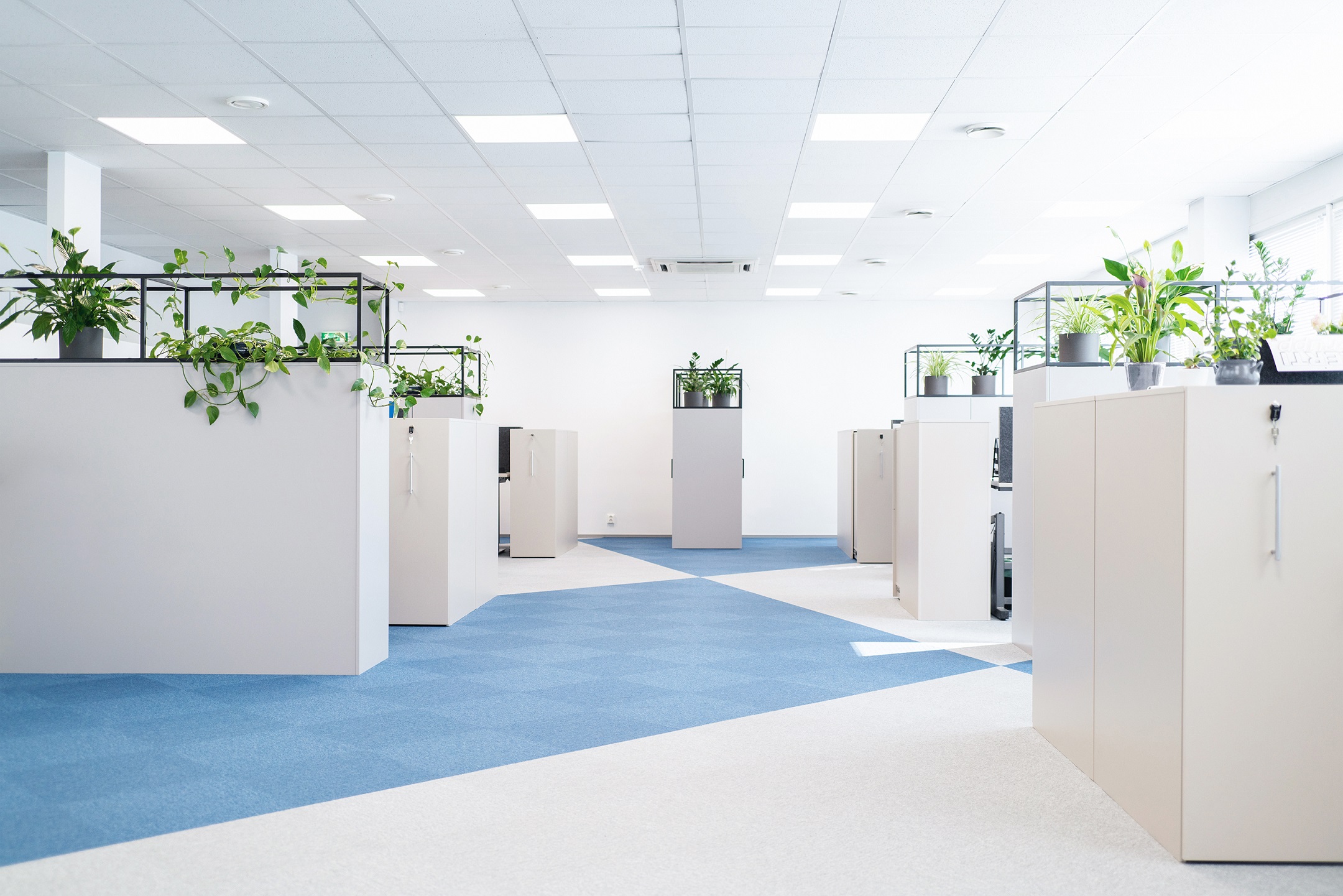Luna Group Estonia